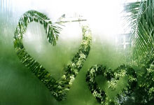 九游-里程碑夜本菲卡战术微调，欧冠今晨刷纪录，压力陡增，细节决定成败的简单介绍-九游